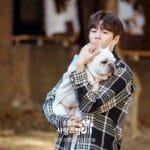 MBCs Wednesday Drama Lineup Shaken Up by KBO Korean Series