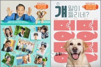 KBS2s Dog Knows Everything Seniors Team Up with a Retired Police Dog