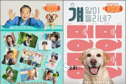 KBS2s Dog Knows Everything Seniors Team Up with a Retired Police Dog