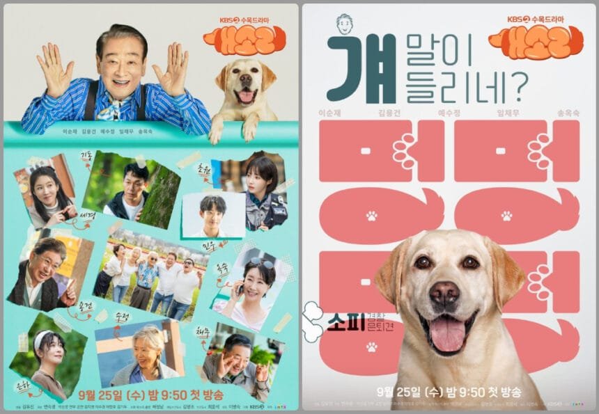 KBS2s Dog Knows Everything Seniors Team Up with a Retired Police Dog